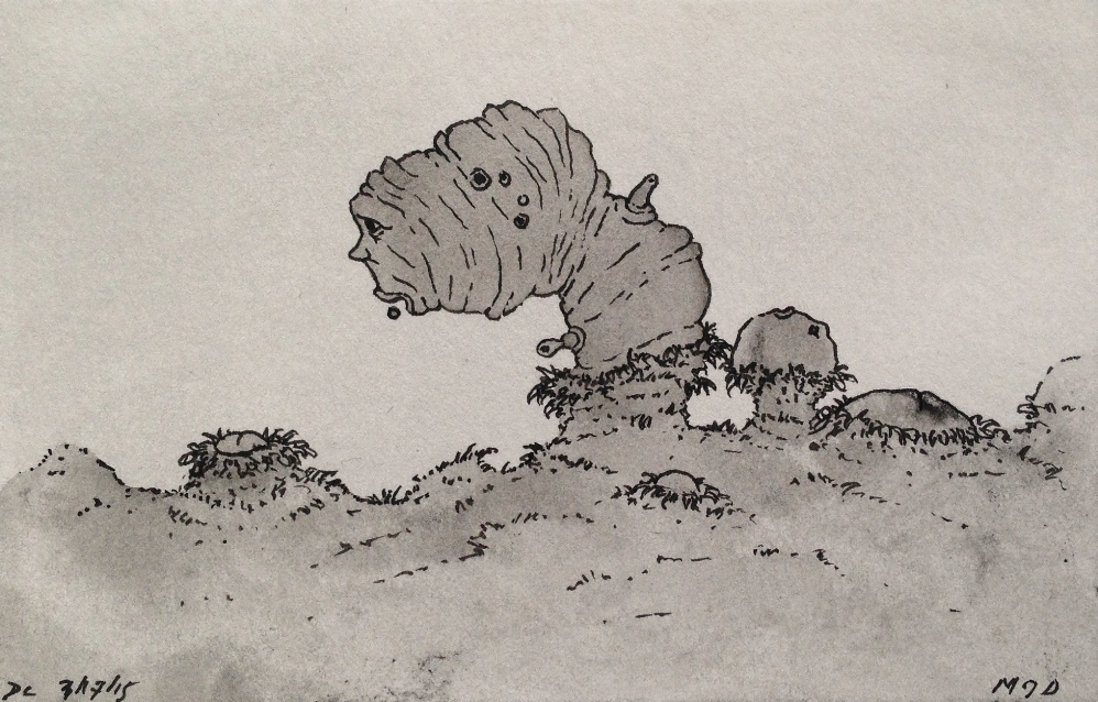 dc 031715 flowering grubs