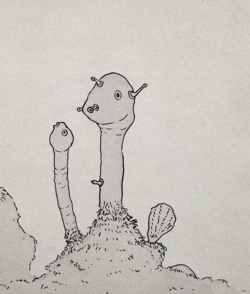 close up view of sea forms II