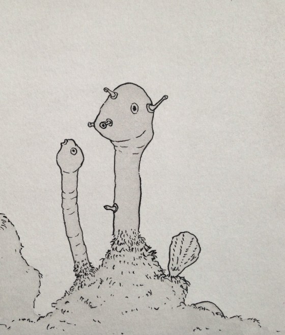 close up view of sea forms II