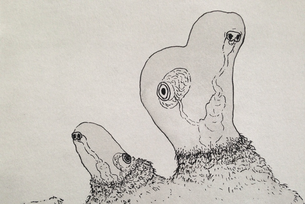 close up view of sea forms 3