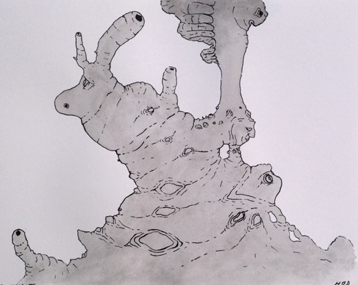 reef close up full view