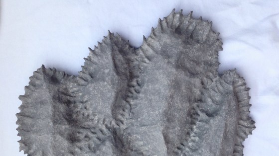 Detail of an original paper mache sculpture by MJ Seal that resembles a cross between gray, eroded winter mountains and a group of trilobites