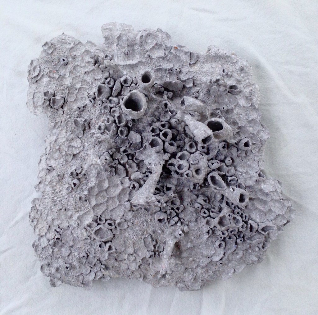 Full view of a paper mache sculpture by MJ Seal that resembles a a cluster of gray, primitive sea creatures