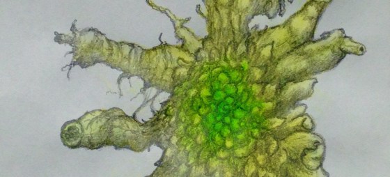Detail of a biomorphic pencil drawing by MJ Seal over an abstract watercolor painting
