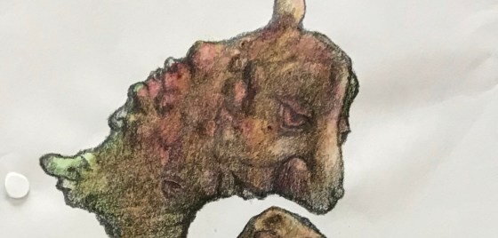 Detail of a biomorphic pencil drawing by MJ Seal over an abstract watercolor painting