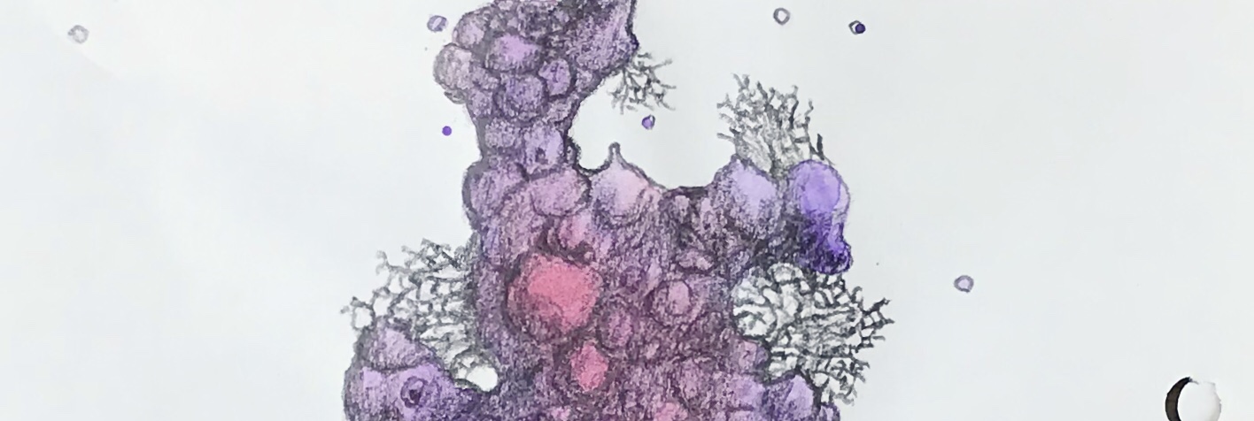 Detail of a biomorphic pencil drawing by MJ Seal over an abstract watercolor painting