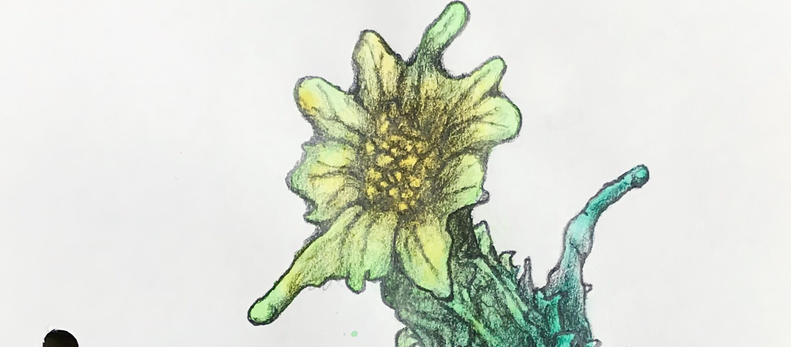 Detail of a biomorphic pencil drawing by MJ Seal over an abstract watercolor painting