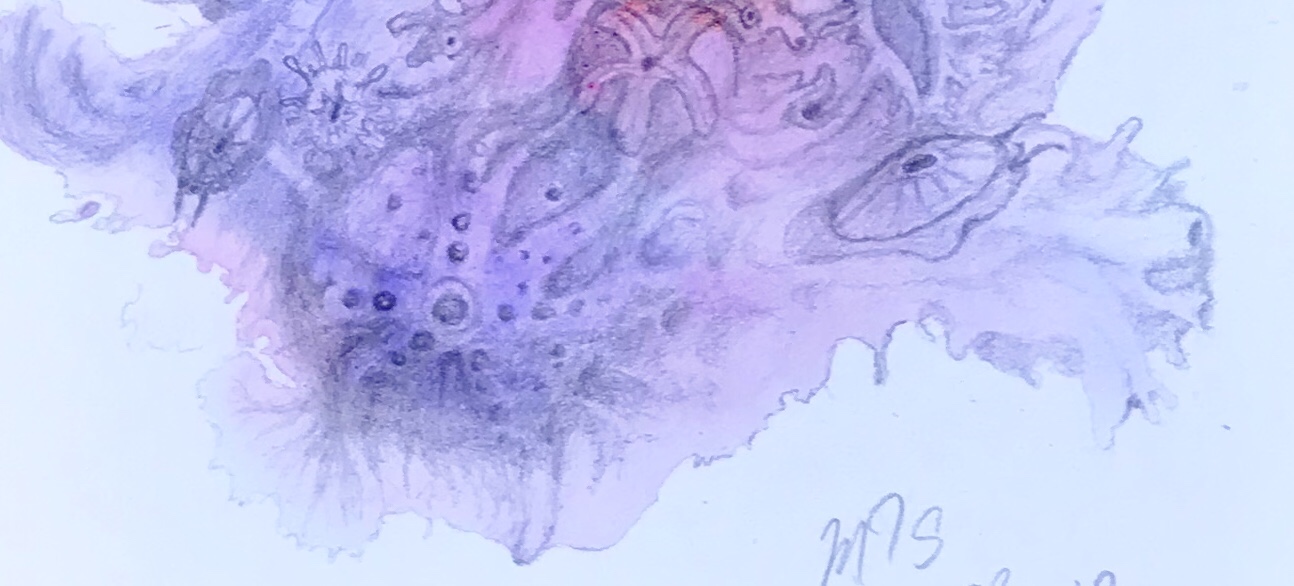 Detail of a biomorphic pencil drawing by MJ Seal over an abstract watercolor painting