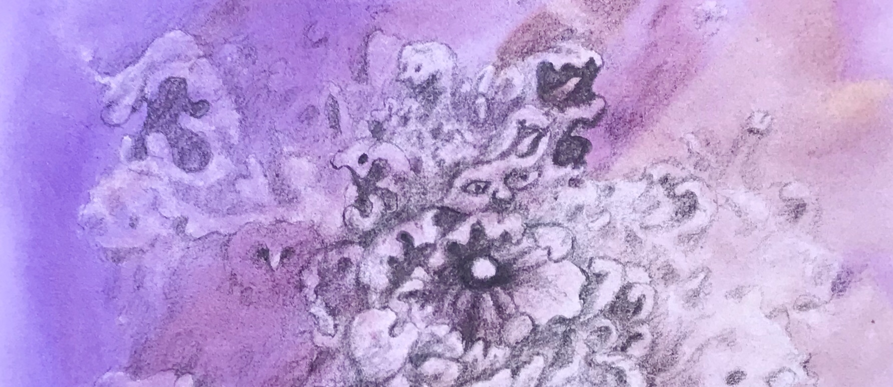 Detail of a biomorphic pencil drawing by MJ Seal over an abstract watercolor painting