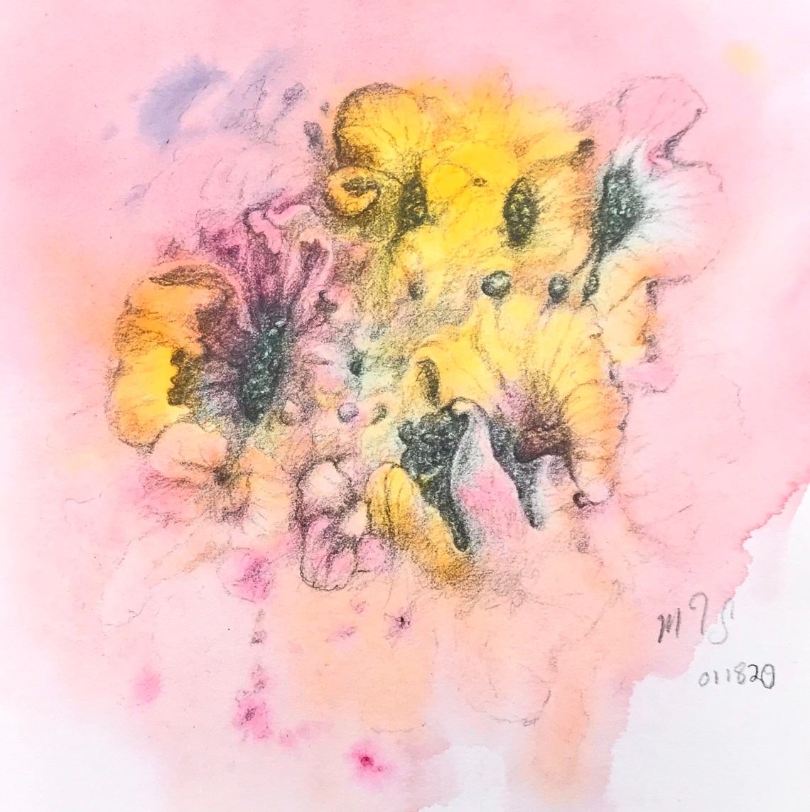 A peculiar cluster of flower like forms in hues of dawn