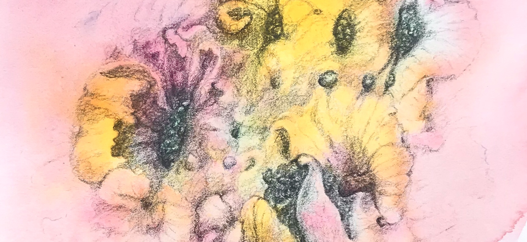 Detail of an original watercolor/ drawing by MJ Seal depicting some abstract flower like forms