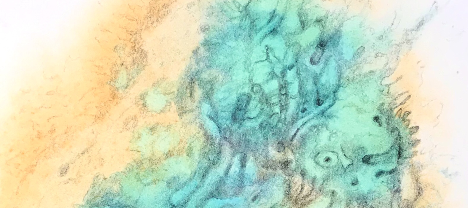 Detail of a free association drawing over an abstract watercolor painting by MJ Seal that resembles a peculiar sea slug