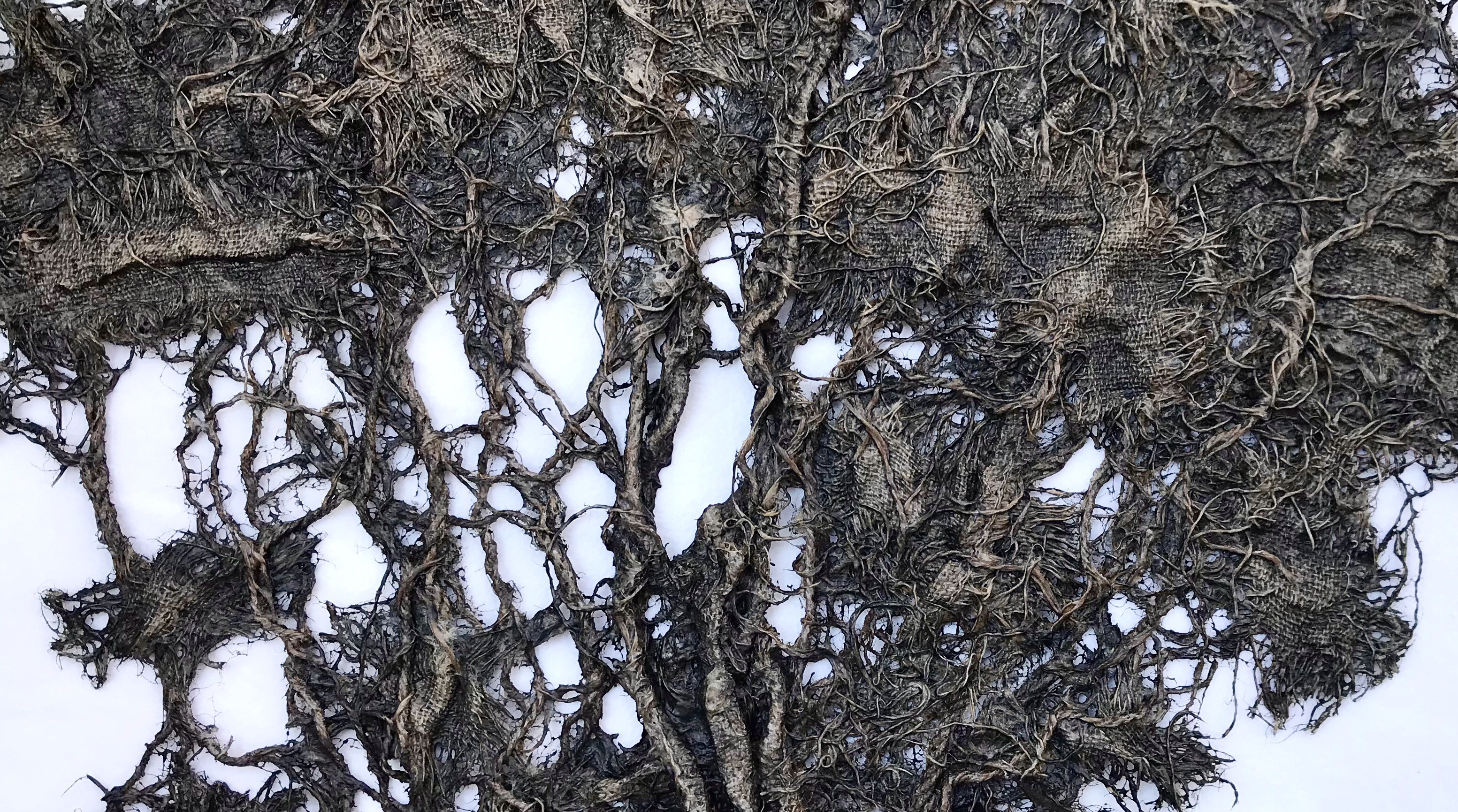 Detail of an abstract fabric sculpture by MJ Seal that resembles a giant, dark gray sea fan