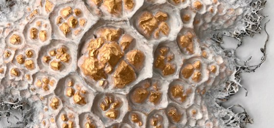 Detail of a paper mache sculpture by MJ Seal that looks like a cross between a honeycomb filled with golden nuggets and some peculiar starfish or fungus with numerous tendrils reaching out