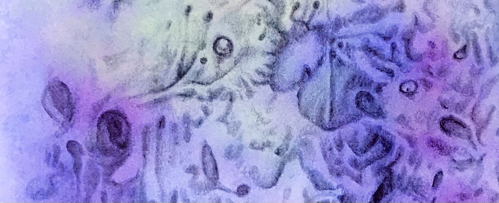 Detail of a biomorphic drawing in graphite pencil over an abstract watercolor painting by MJ Seal