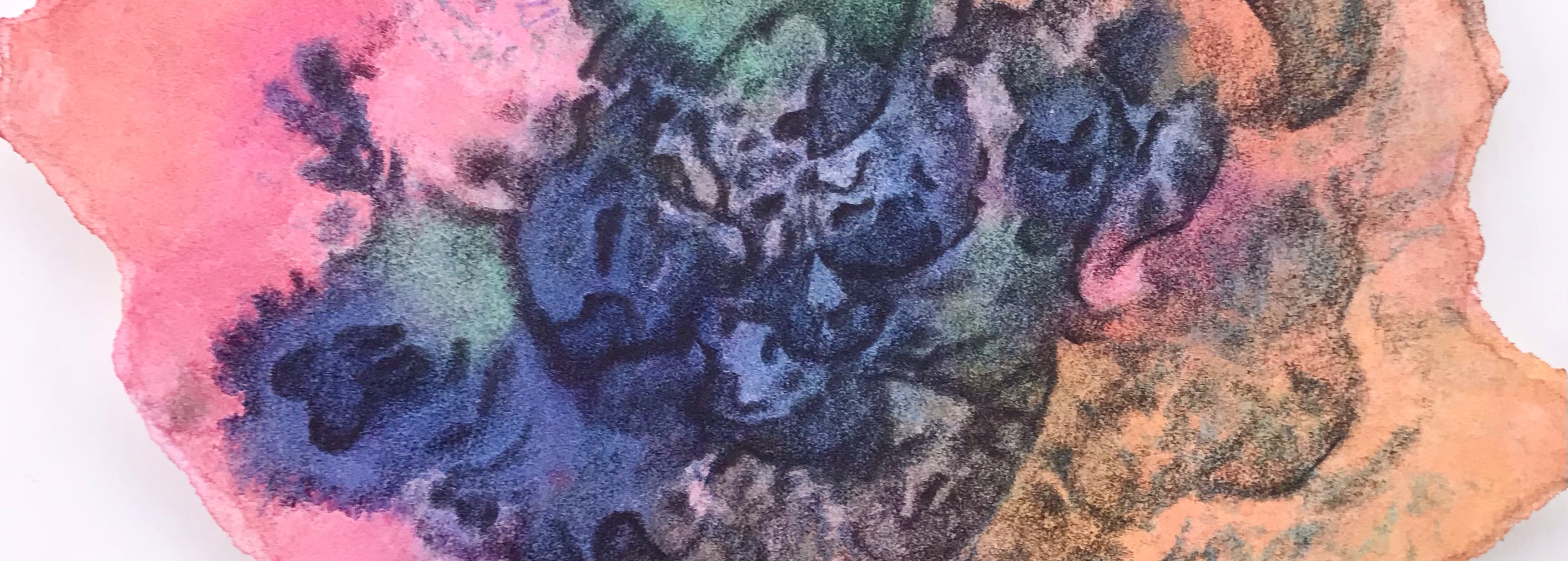 detail of a biomorphic pencil drawing by MJ Seal over an abstract watercolor painting