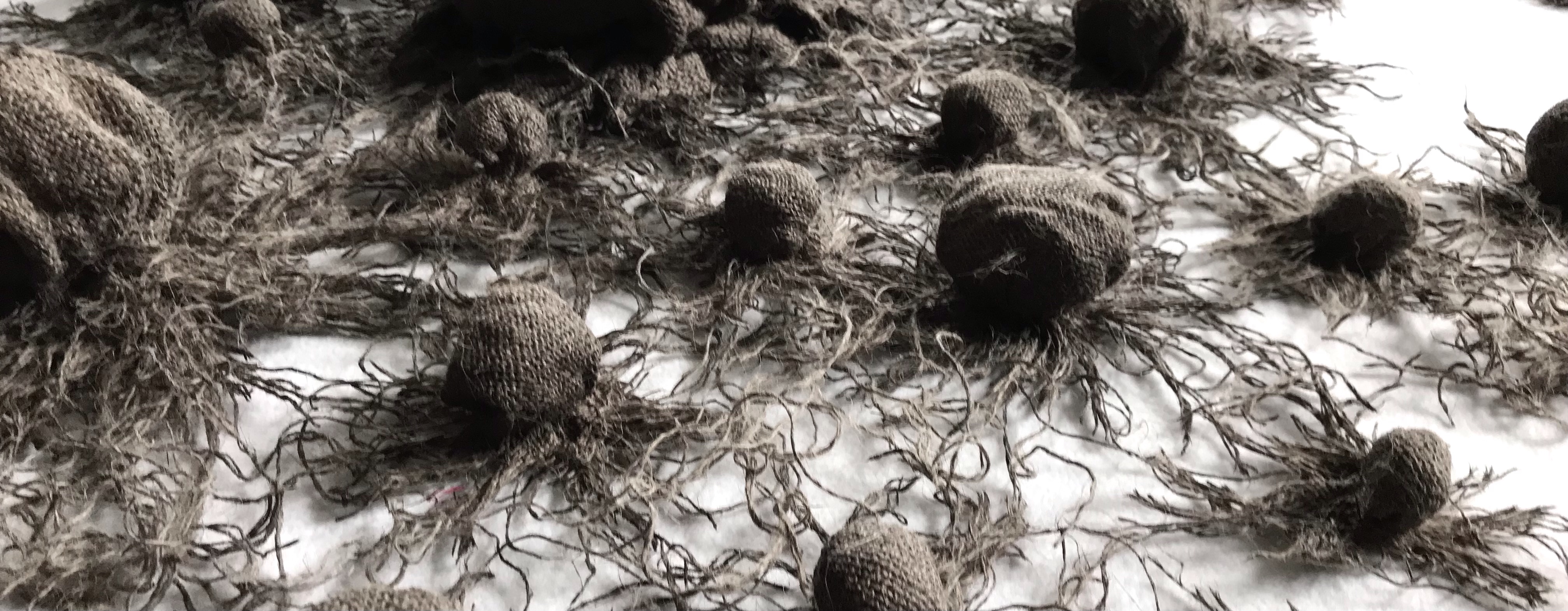 Detail of a large art installation piece by MJ Seal made from sackcloth stained with charred bones that resembles a giant cluster of dark gray puffball mushrooms with extending roots emerging from a wall