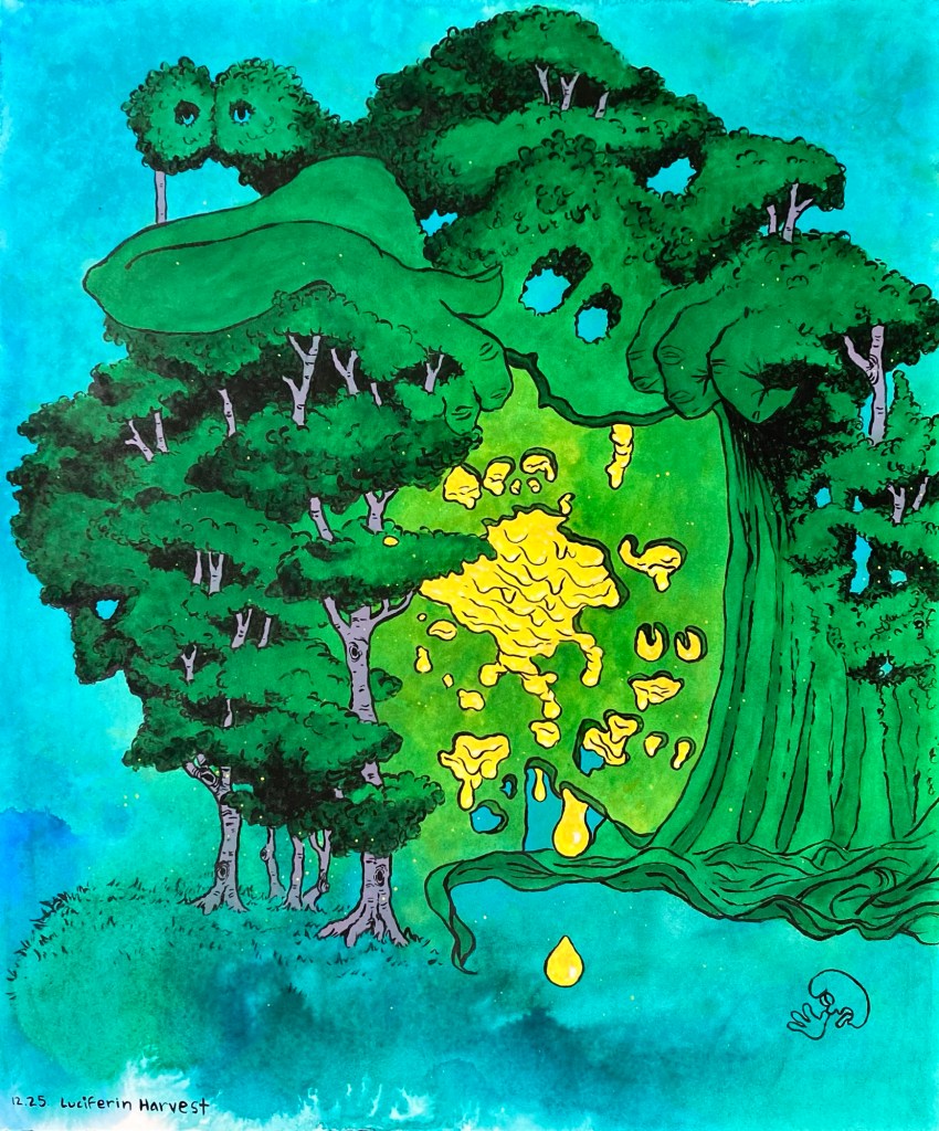 In this moody, surreal nocturne by emerging artist MJ Seal a dark, velvety green forest morphs into a curtain being pulled up by monstrous hands revealing a pourous, chartreuse green wall from which glowing yellow liquid drips like honey as thousands of fireflies buzz about.